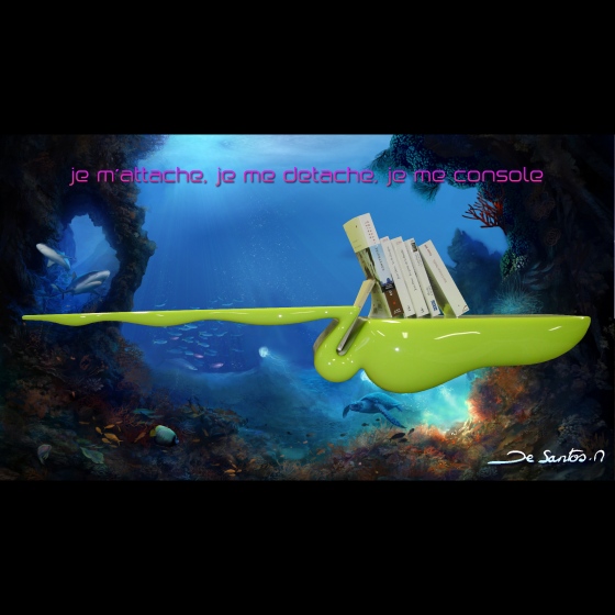 Cette étagère murale pout servir de bibliothèque